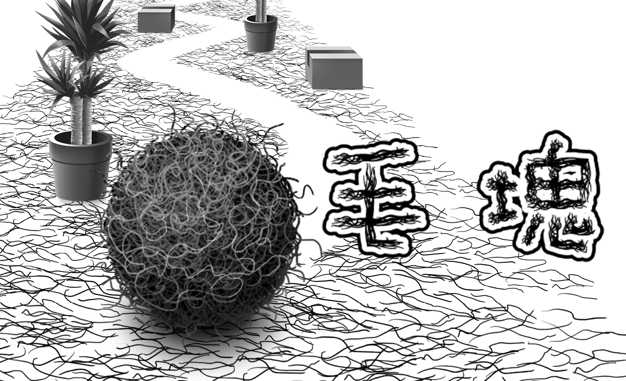 HairBall / 毛塊